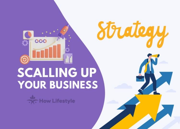 Scaling Up Your Business: Strategies for Expansion and Market Domination