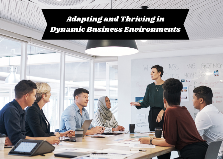Adapting and Thriving in Dynamic Business Environments