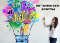 Best Business Ideas in Pakistan