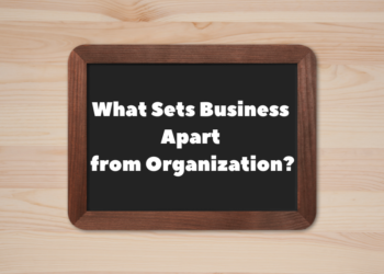 What Sets Business Apart from Organization?