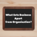 What Sets Business Apart from Organization?